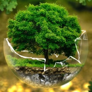 environmental-protection-326923 A